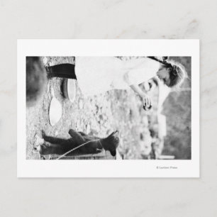 Mädchen Fütternd Bärenkuppe in Seward Postkarte