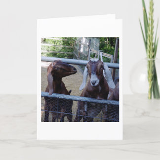 Mädchen-Gespräch Karte