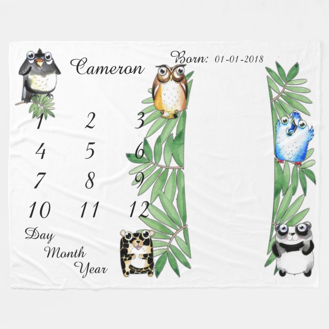 Mädchen-/Jungen-Baby-Meilenstein-Decken-Größe 80 x Fleecedecke (Vorderseite (Horizontal))