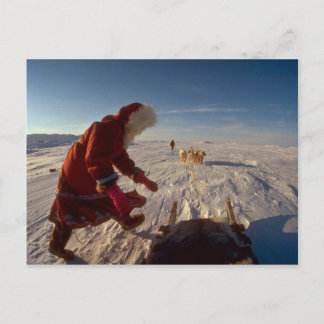 Mädchen mit Hundeteam, Pelly Bay Postkarte
