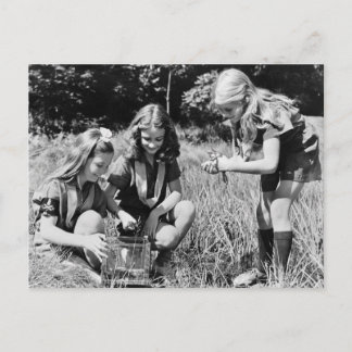 Mädchen sammeln Frösche, 1940er Postkarte