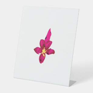 Mädchendesign, leichtes Gold, purpurpurrot Sockelschild