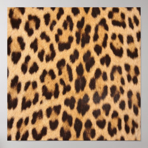 Mädchenhaft chic wilder Safari-Mode Leopardenmuste Poster