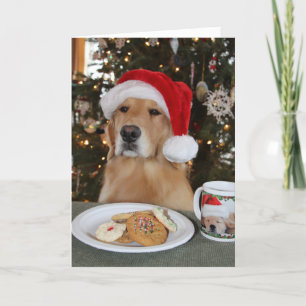 Maddi Wartete auf Santa Dankeskarte