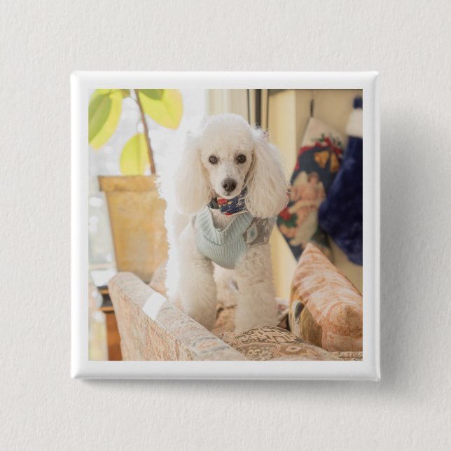 Maddie Button (Vorderseite)