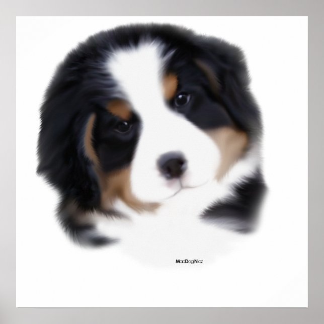 MadDog's Baby Face Print Poster (Vorne)