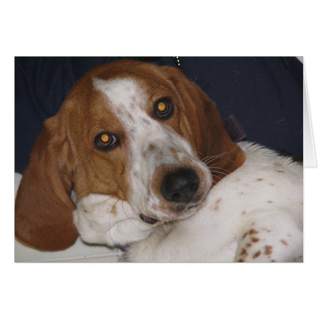 Maddy May (Vorderseite (Horizontal))