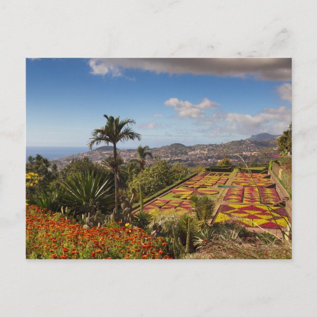 Madeira - Botanischer Garten von Funchal Postkarte (Vorderseite)