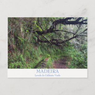 Madeira - Caldeirao Verde Postkarte mit Text