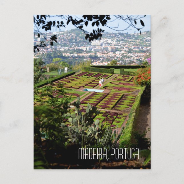 Madeira Funchal Botanischer Garten Souvenir Postkarte (Vorderseite)