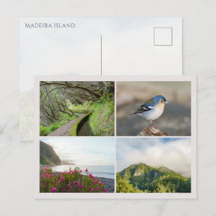 Madeira-Insel-Fotocollage, moderne Reise Postkarte