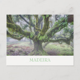 Madeira - Laurel Baum Postkarte mit Text