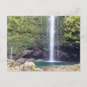 Madeira - Levada Do Caldeirao Verde Postkarte