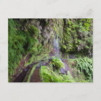 Madeira - Levada do Rei Postkarte