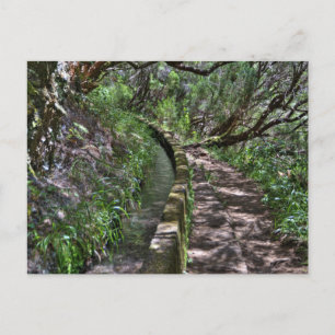 Madeira Road Way Postkarte