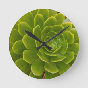 Madeiras grüne Umarmung Runde Wanduhr