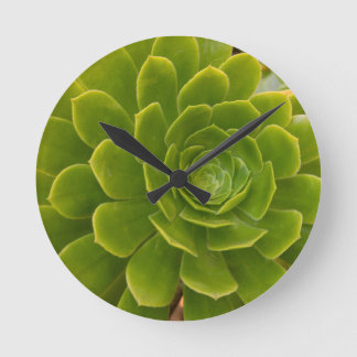 Madeiras grüne Umarmung Runde Wanduhr