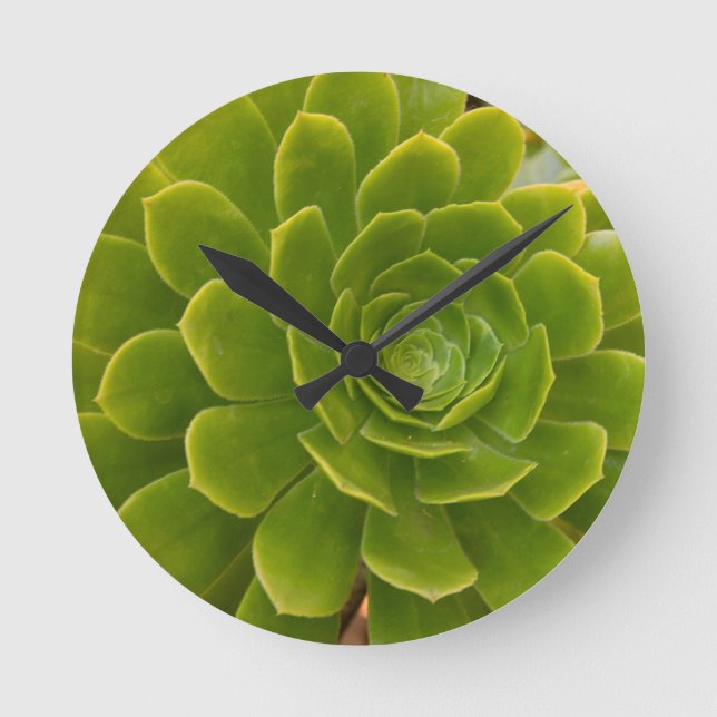 Madeiras grüne Umarmung Runde Wanduhr (Vorderseite)