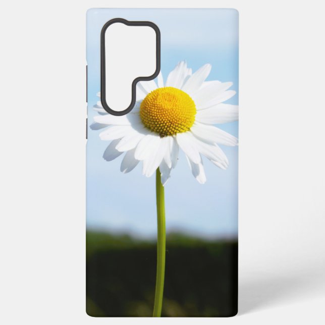 Madelief rechtop geisoleerd in de natuur. samsung galaxy hülle (Rückseite)