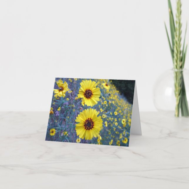 Madia-Blume im Sequoia-Nationalpark Karte (Vorderseite)