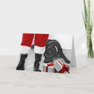 Madison die schwarze Labrador-Weihnachtskarte Feiertagskarte