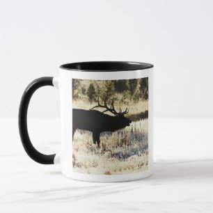 Madison-Fluss, Yellowstone NP, Wyoming, USA Tasse