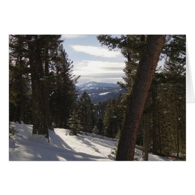 Madison Mountains im Winter in Montana (Vorderseite (Horizontal))