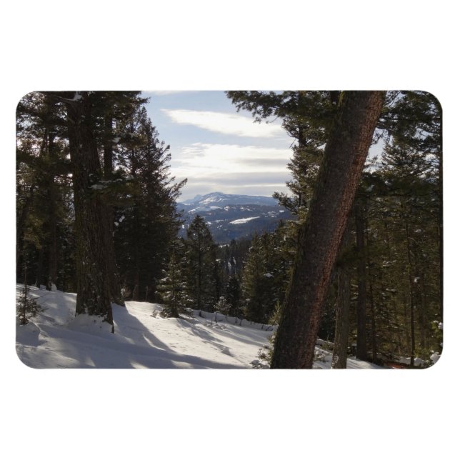 Madison Mountains im Winter in Montana Magnet (Horizontal)