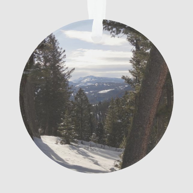 Madison Mountains im Winter in Montana Ornament (Rückseite)