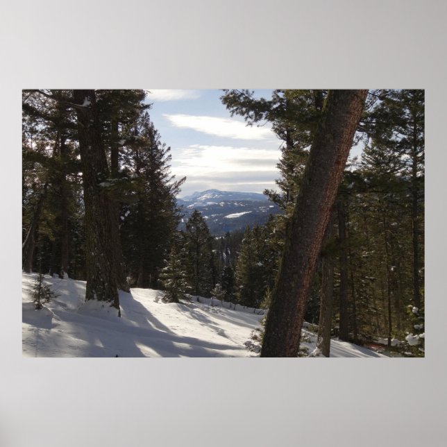 Madison Mountains im Winter in Montana Poster (Vorne)