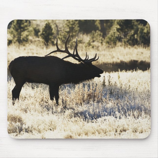 Madison River, Yellowstone NP, Wyoming, USA Mousepad (Vorne)