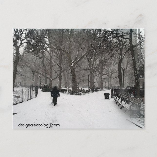 Madison Square Garden Postkarte (Vorderseite)