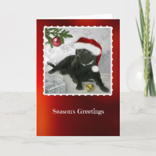 Madison the Black Labrador Weihnachtskarte Feiertagskarte