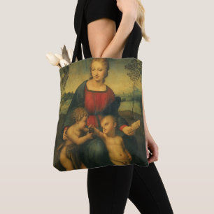 Madonna des Goldfinken von Raphael Sanzio