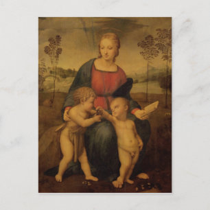 Madonna von Goldfinch, c.1506 Postkarte