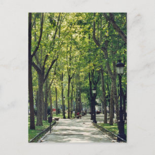 Madrid Park Postkarte