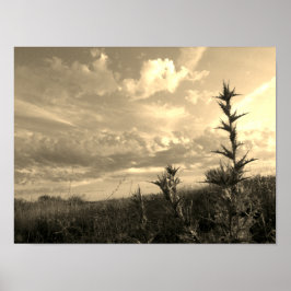 Madrids Himmelsmonochrome Poster