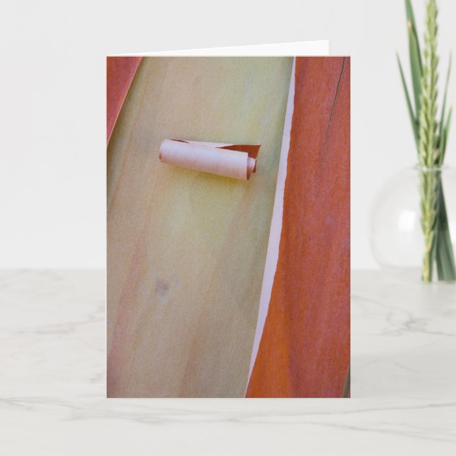 Madrone Baumrinde Karte (Vorderseite)
