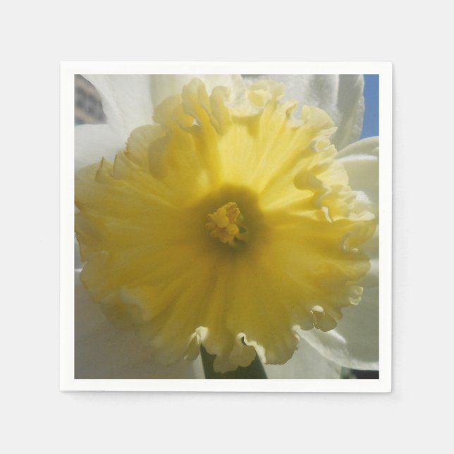 Maenad Serviette (Vorderseite)