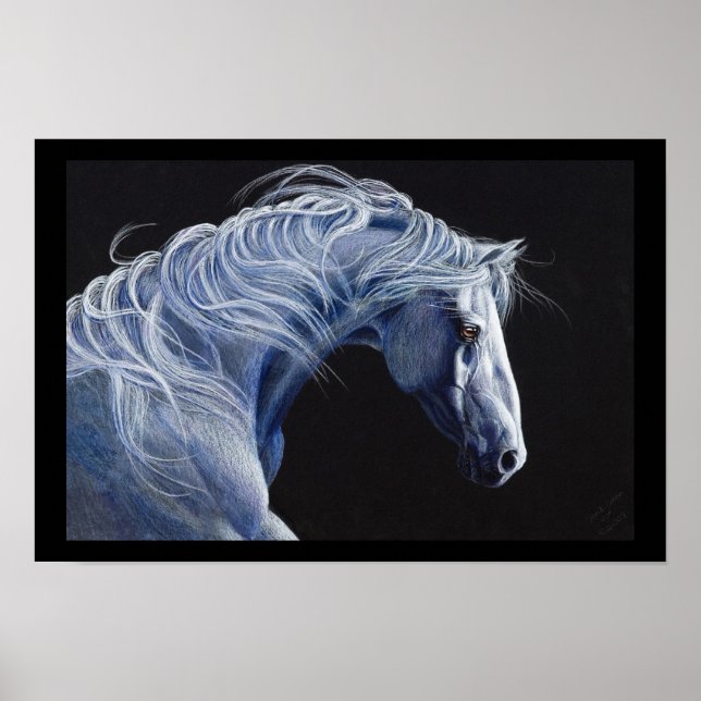Maestoso Sonny Poster (Vorne)