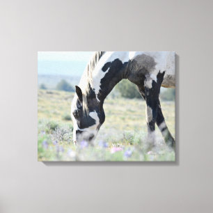 Maestro ausgedehnte Leinwand 20 x 16