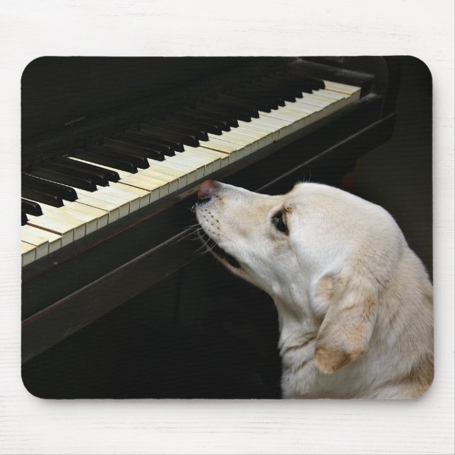 Maestro Mousepad (Vorne)