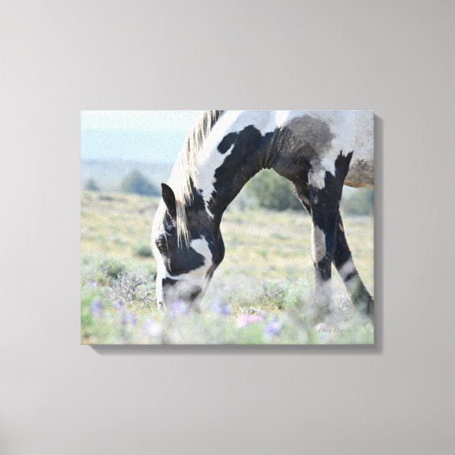 Maestro Stretched Leinwand 20 x 16 (Vorderseite)