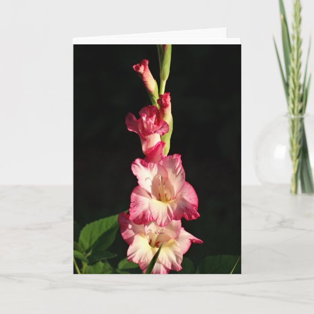 Mag Ihr Herz, Gladiola froh sein Karte (Vorderseite)