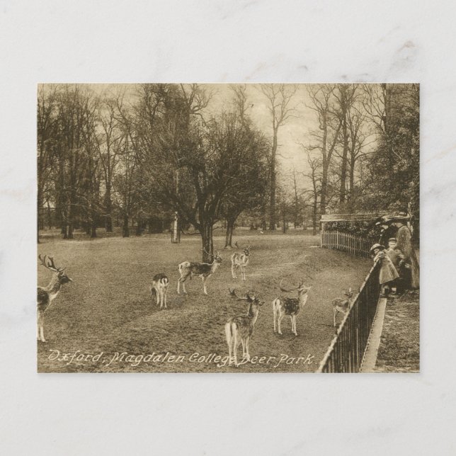 Magdalen Uni, Oxford, England Vintag Postkarte (Vorderseite)