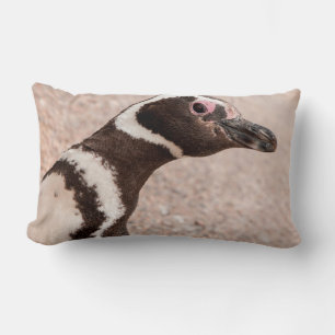 Magellan-Pinguin, Patagonien, Argentinien Lendenkissen