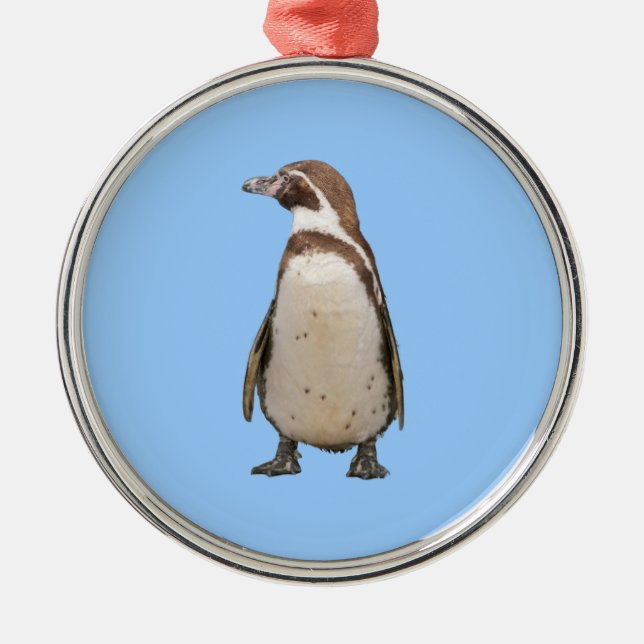 Magellan-Pinguin-Schmuckstück Silbernes Ornament (Vorne)