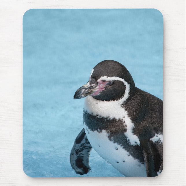 Magellanic Penguin Mousepad (Vorne)