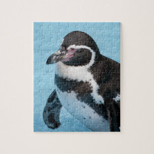 Magellanic Pinguin Puzzle