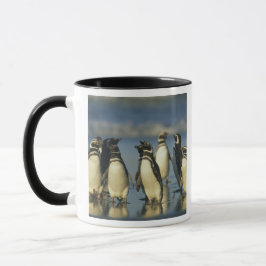 Magellanische Pinguine, Spheniskus Tasse